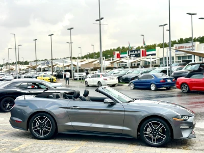 Shozon listing image