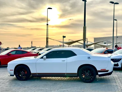 Shozon listing image