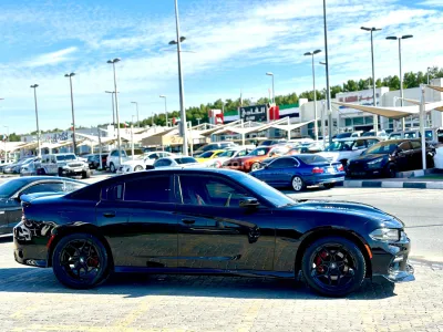 Shozon listing image