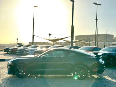 Shozon listing image