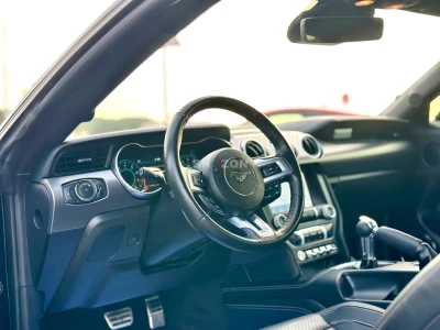 Shozon listing image