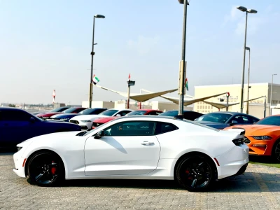 Shozon listing image