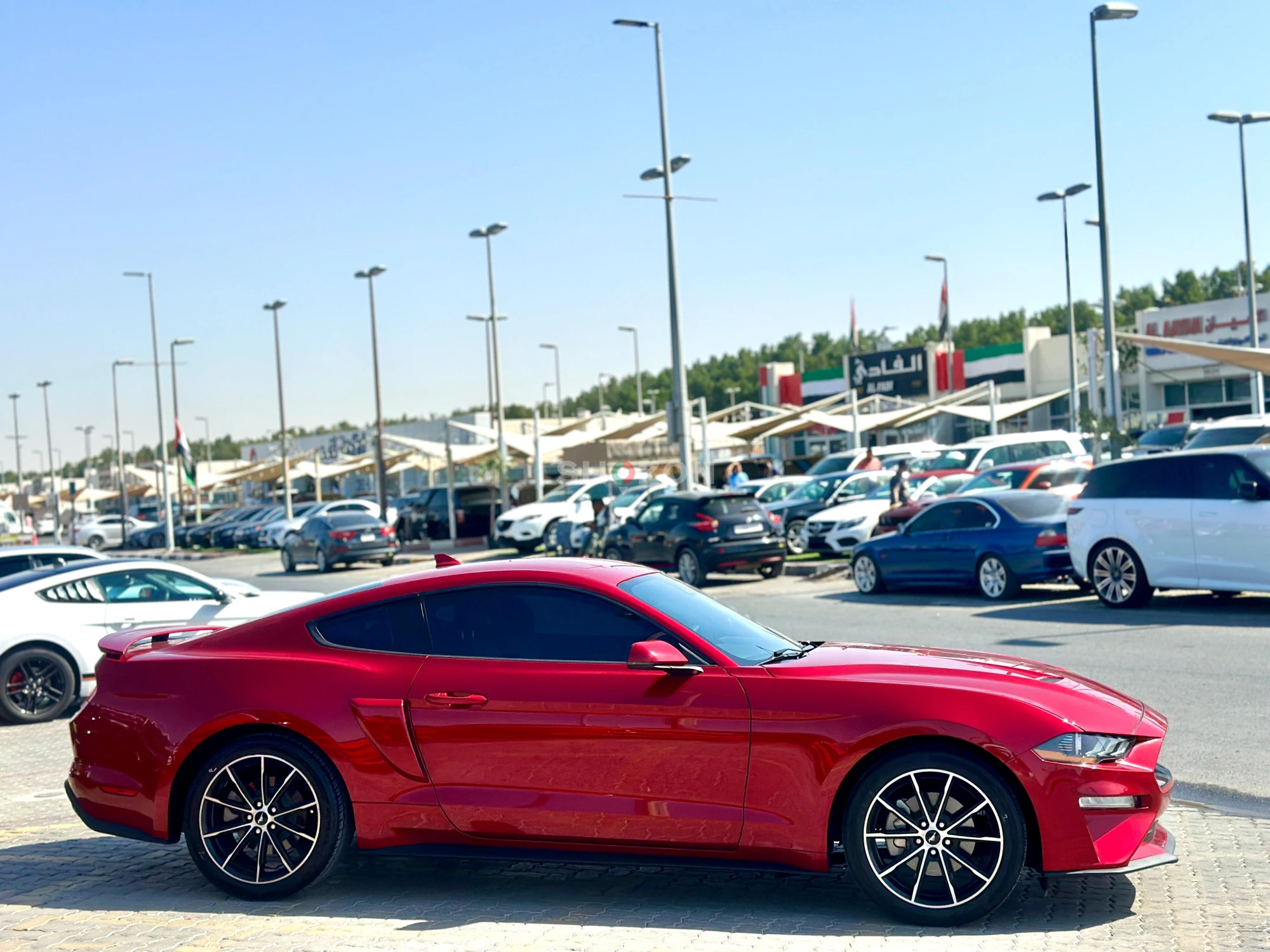  EcoBoost Premium Fastback | Monthly AED 1600/- | 0 DP | Fog Lights | Paddle Shifters | Adaptive Cruise Control | Ref 02504