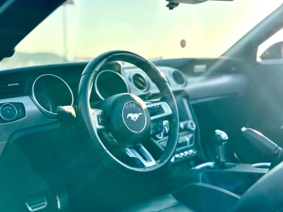 Shozon listing image