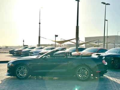 Shozon listing image