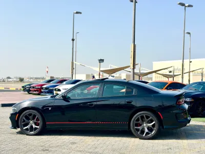 Shozon listing image