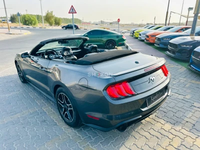 Ecoboost | Monthly AED 780/- | 0% DP | Blindspot | Paddle Shifters | Digital Cluster | Ref 67493