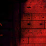Shozon Avatar Image