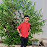 Shozon Avatar Image