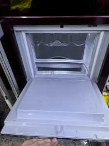 LG Double Door Refrigerator in Purple