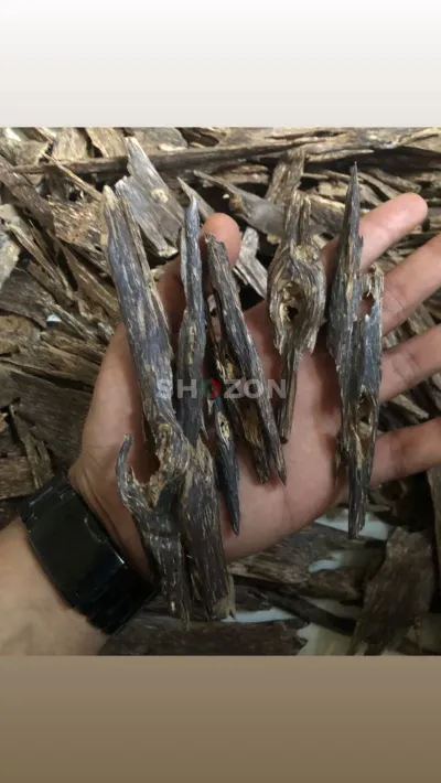 Shozon listing image