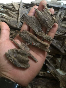 indian oudh vip