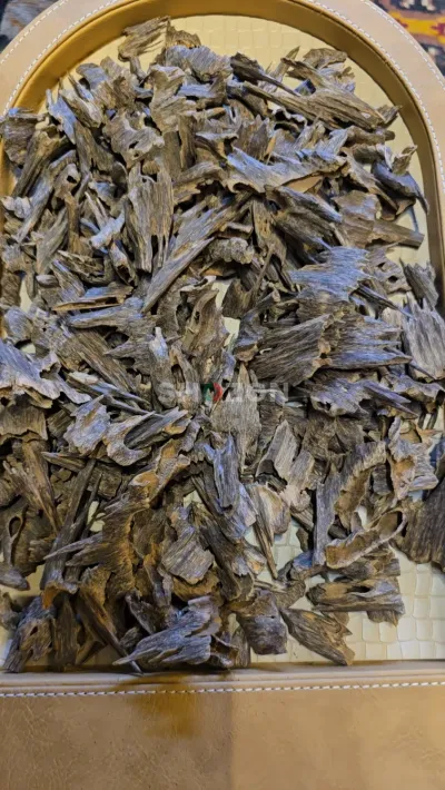 oudh moori royal(vip)