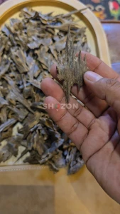 oudh moori royal(vip)