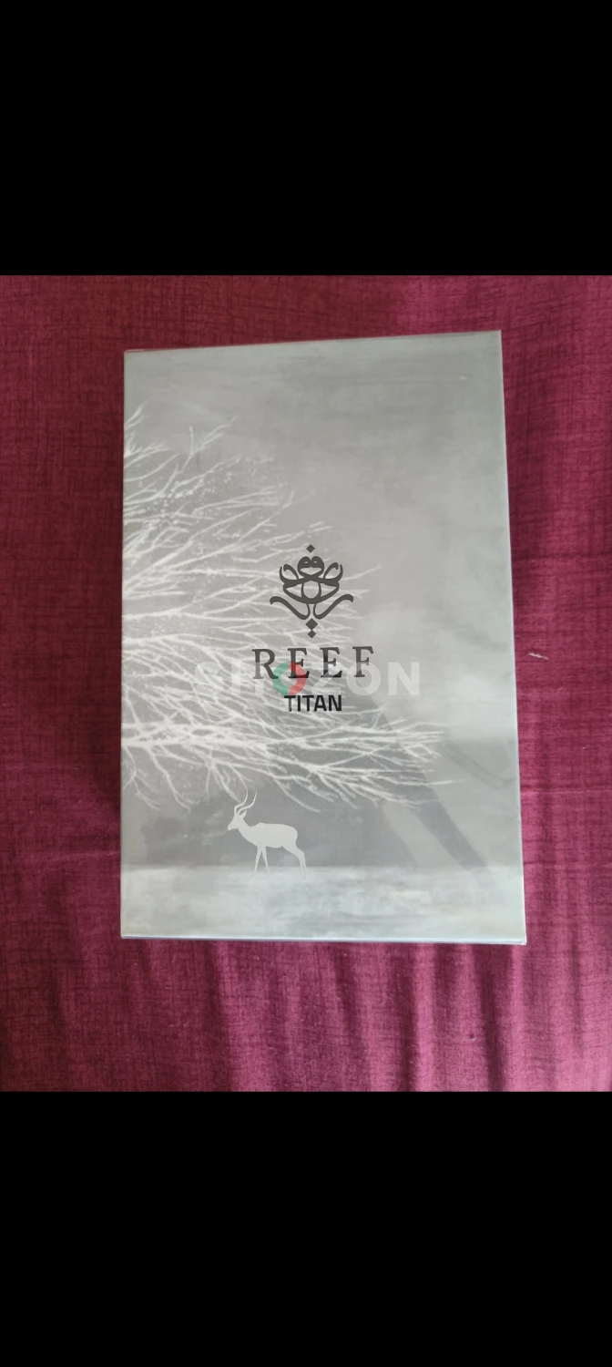 Reef titanium perfume 