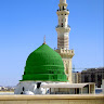 Shozon Avatar Image
