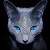 avatar user
