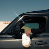 Shozon Avatar Image