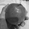 Shozon Avatar Image