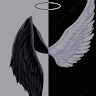 Shozon Avatar Image