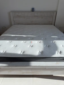 Shozon listing image