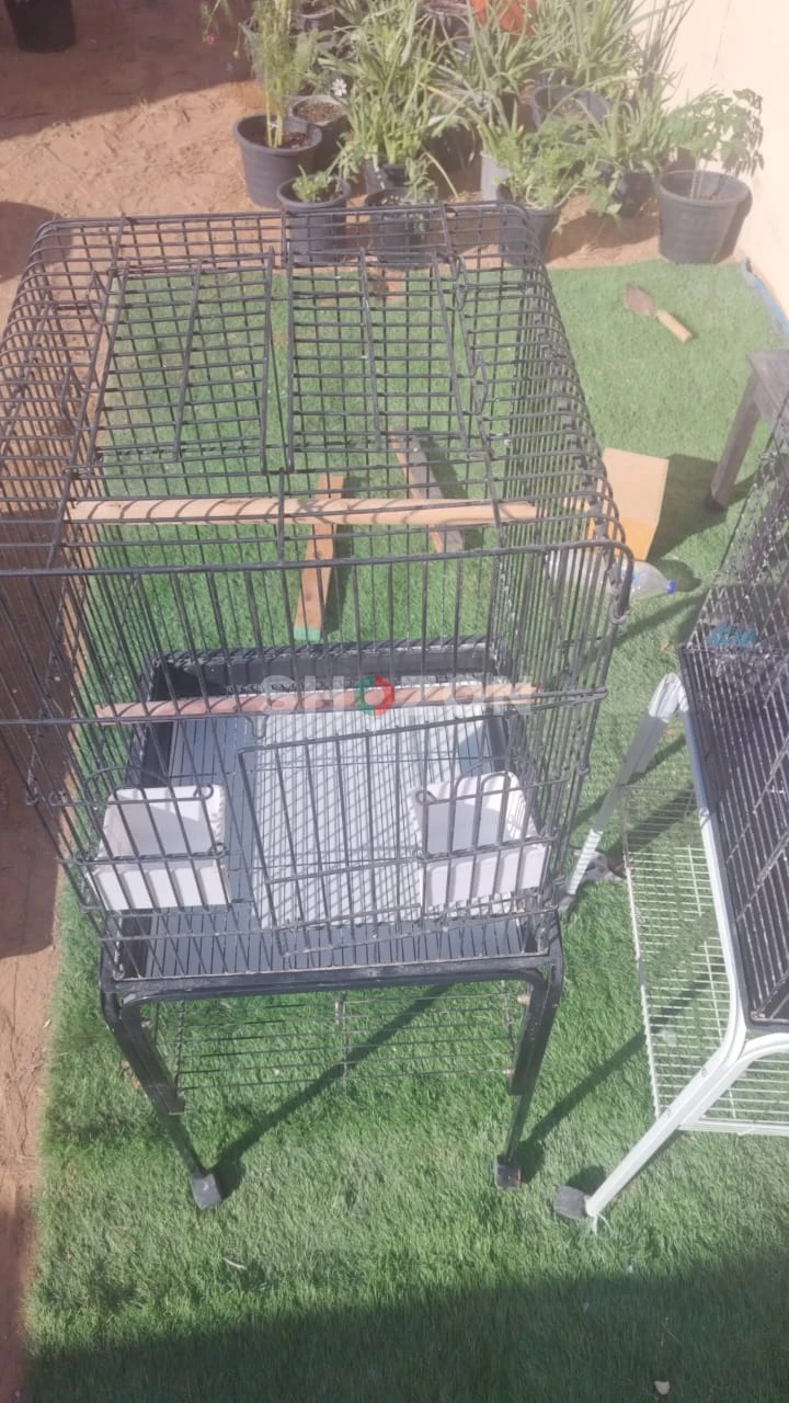 2 used parrot cages for sale 