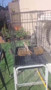 Shozon listing image