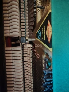 Shozon listing image