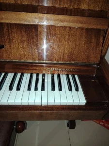 Shozon listing image