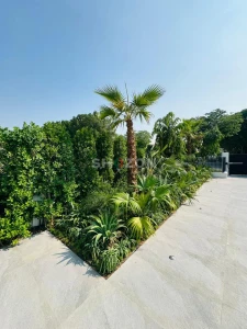 Shozon listing image