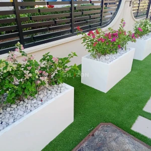 Shozon listing image