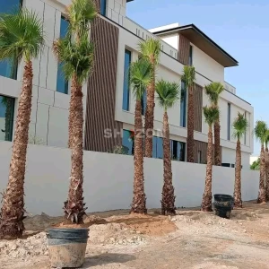 Shozon listing image