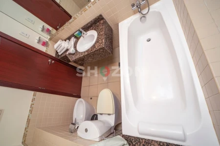 Shozon listing image