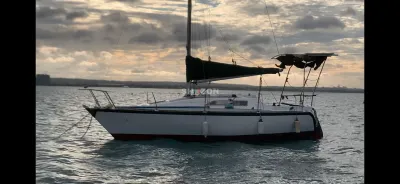 Shozon listing image