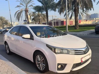 Shozon listing image