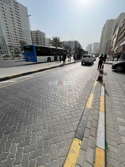 Shozon listing image