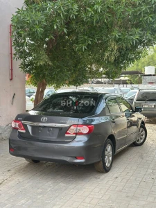 Shozon listing image