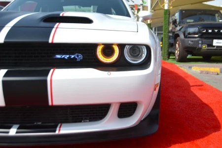 Shozon listing image