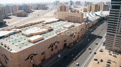 Shozon listing image