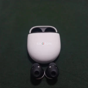 Shozon listing image