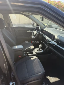 Shozon listing image