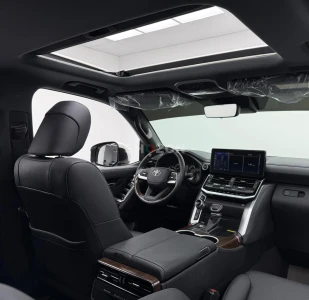 Shozon listing image