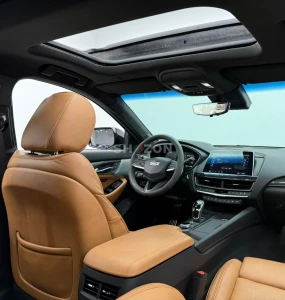 Shozon listing image