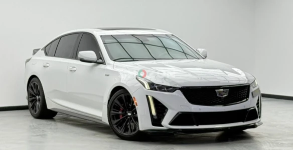 Shozon listing image