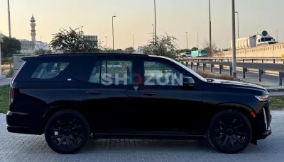 Shozon listing image