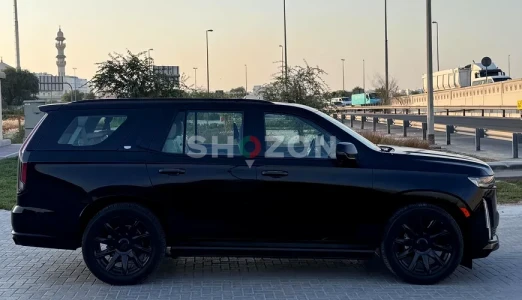 Shozon listing image