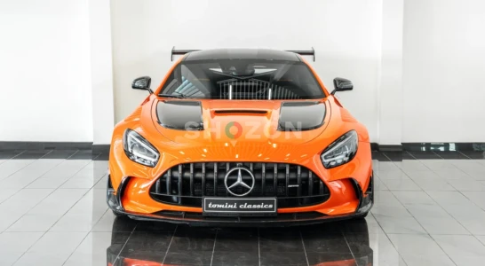 Shozon listing image