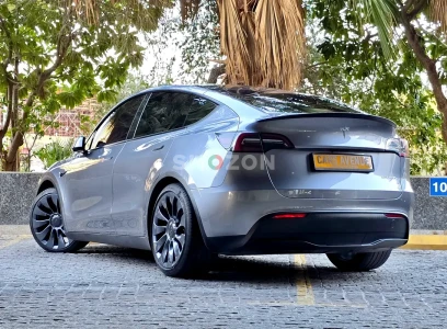 Tesla Model Y Performance