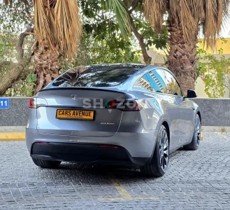 Tesla Model Y Performance