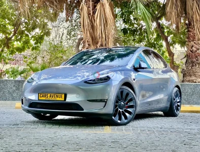 Tesla Model Y Performance